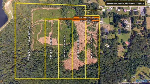 Lot #1 County Road 519, Moulton, AL 35650
