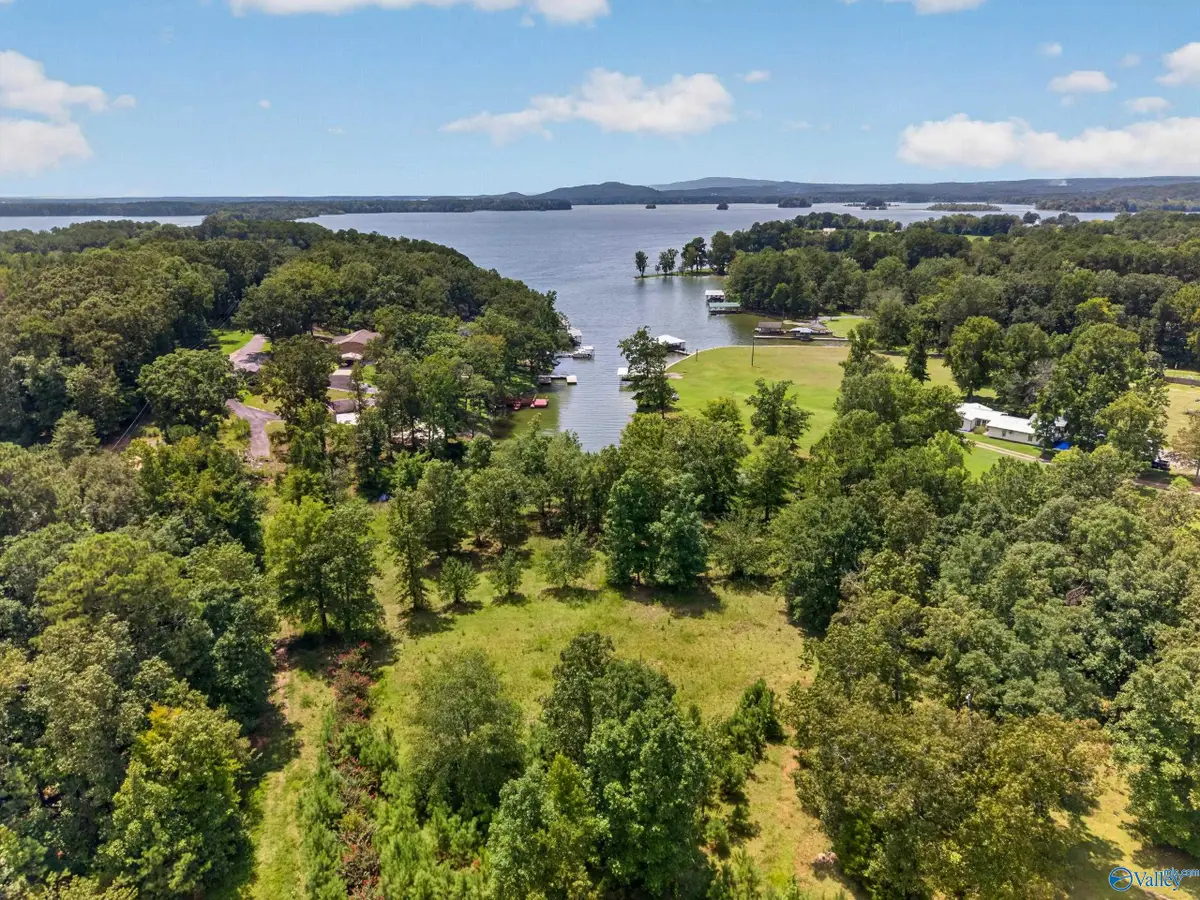 24 +/- acres County Road 102, Cedar Bluff, AL 35959 - #1
