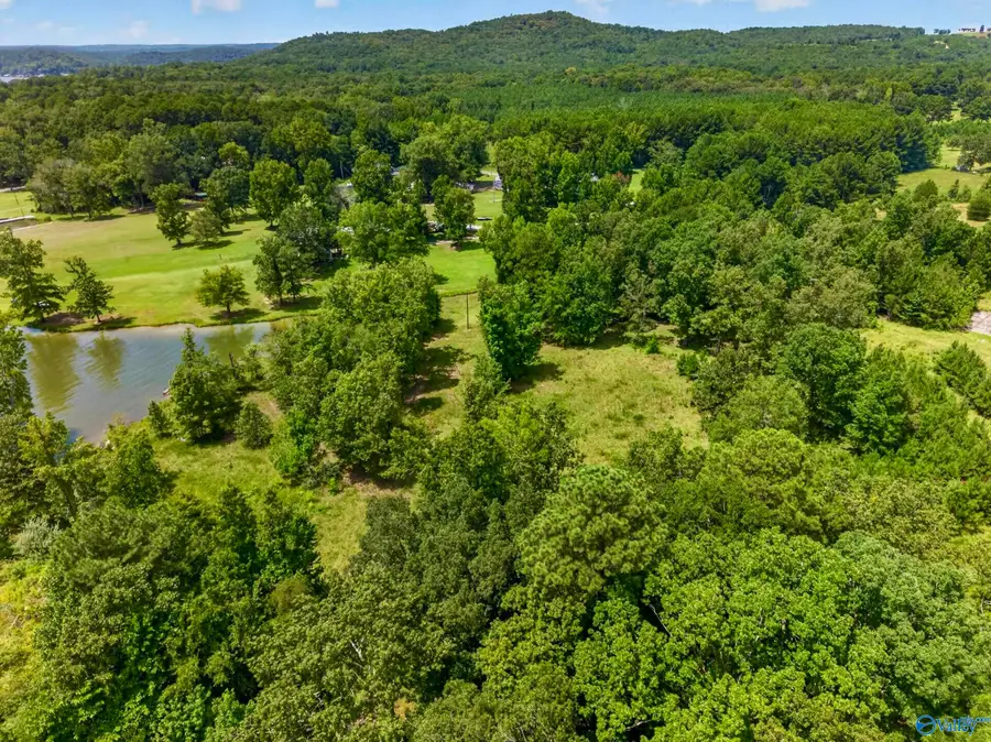 24 +/- acres County Road 102, Cedar Bluff, AL 35959 - #2