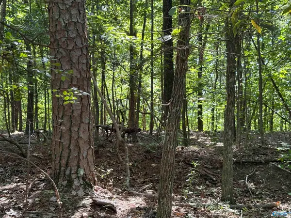 1500 County Highway 103 #Lot 52, Mentone, AL 35984