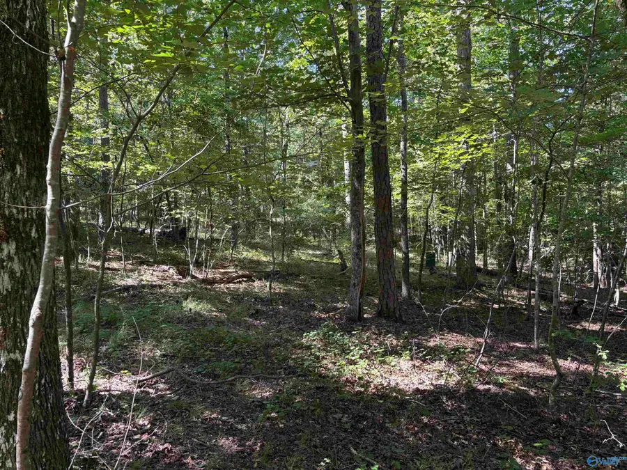1500 County Highway 103 #Lot 52, Mentone, AL 35984 - #3