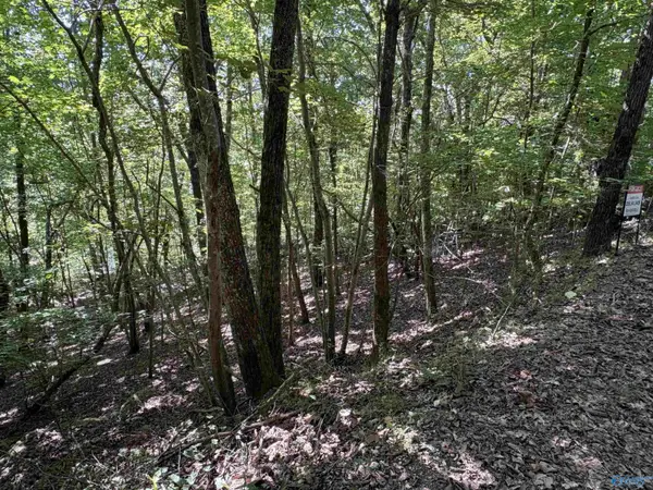 1500 County Road 103 #Lot 81, Mentone, AL 35984