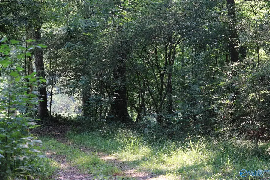 4.7 acres Finlen Road, Huntsville, AL 35811 - #2