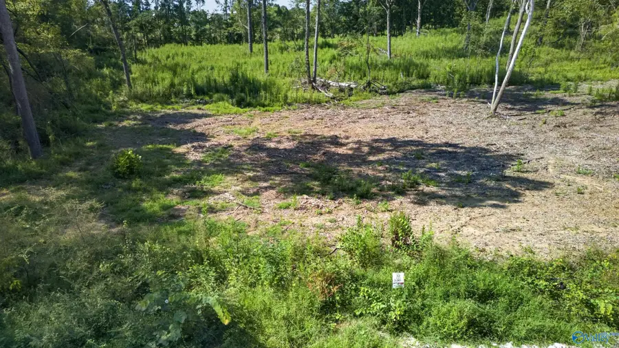 Lot 32 County Road 158, Centre, AL 35960 - #2