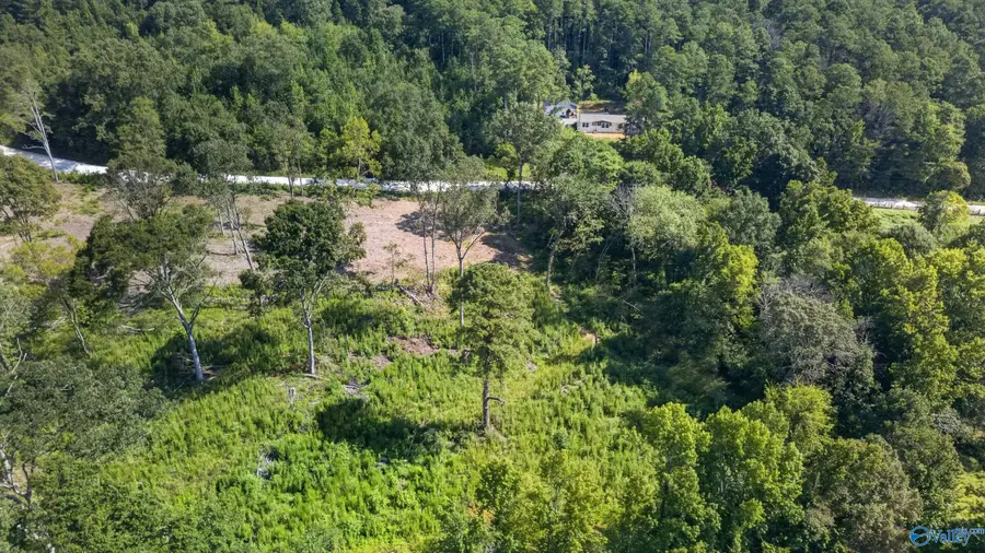 Lot 32 County Road 158, Centre, AL 35960 - #3