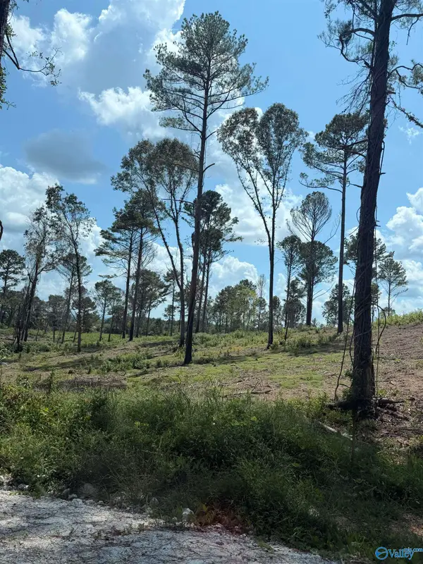 Lot 35 County Road 158, Centre, AL 35960