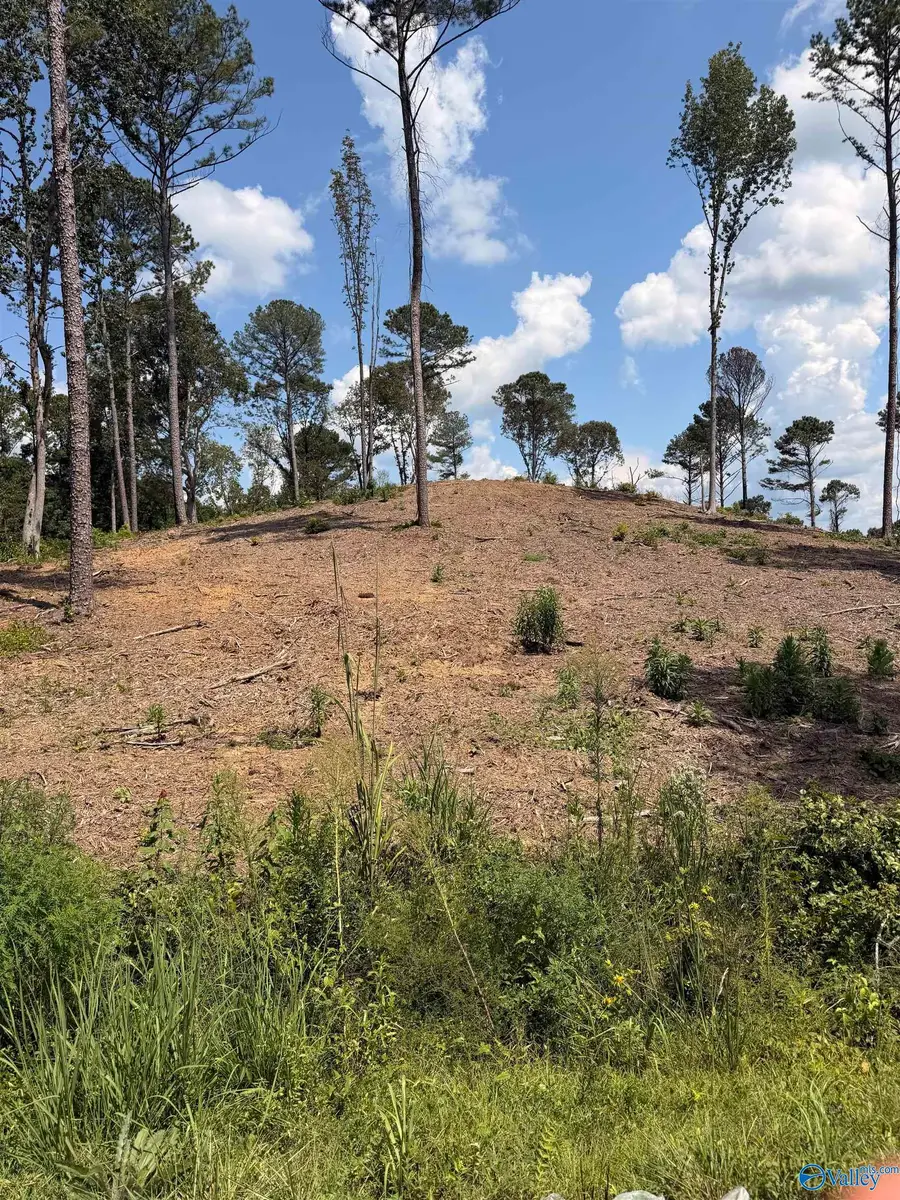 Lot 35 County Road 158, Centre, AL 35960 - #2