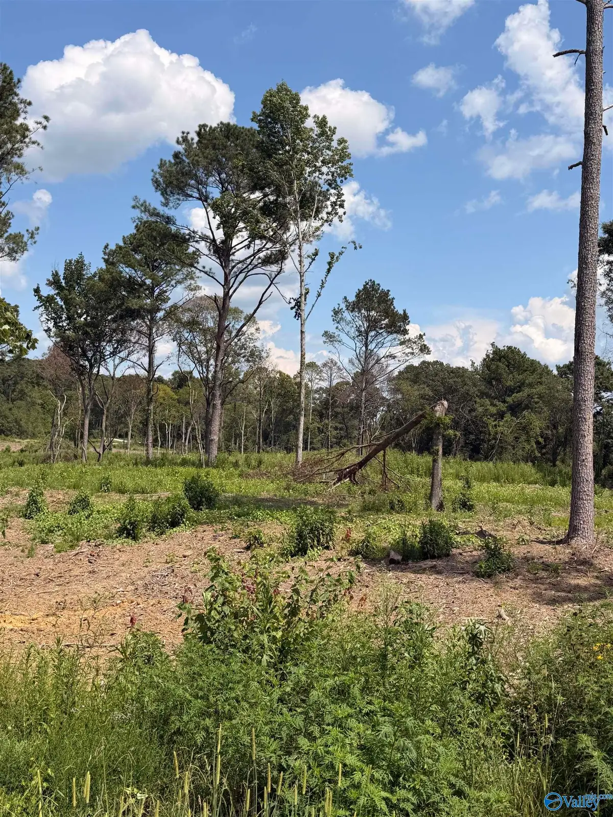 Lot 37 County Road 158, Centre, AL 35960 - #1