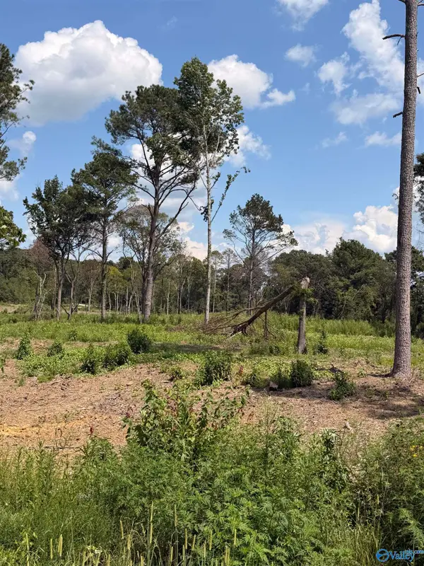 Lot 37 County Road 158, Centre, AL 35960