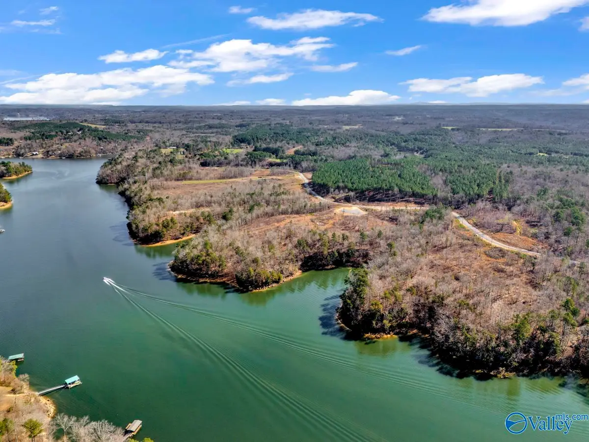 98 acres County Road 102, Bremen, AL 35033 - #1