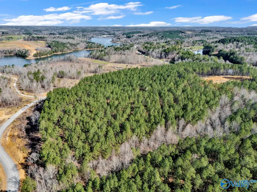 98 acres County Road 102, Bremen, AL 35033 - #2