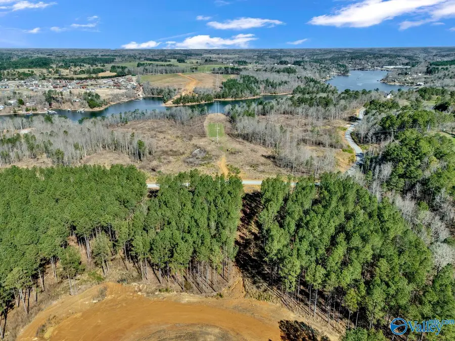 98 acres County Road 102, Bremen, AL 35033 - #3