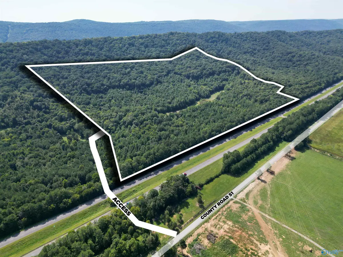 94 Acres County Road 51, Fort Payne, AL 35968 - #1