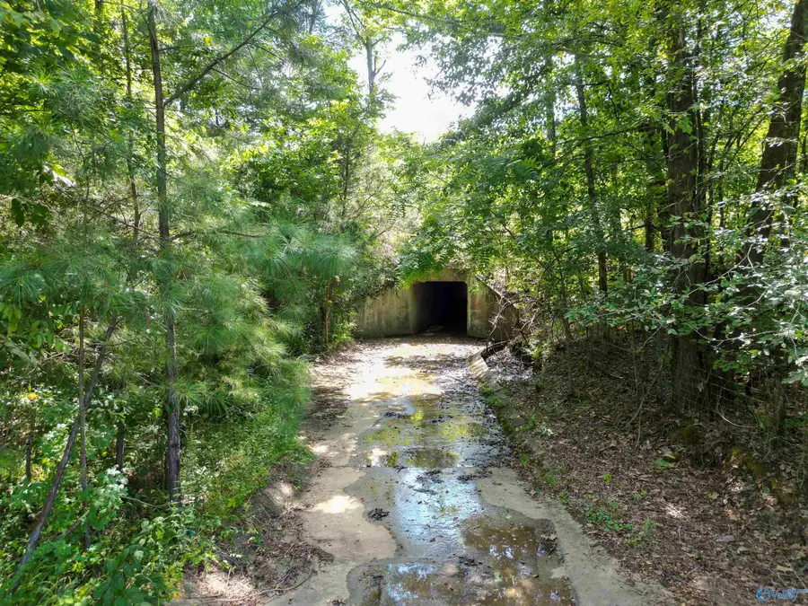 94 Acres County Road 51, Fort Payne, AL 35968 - #3