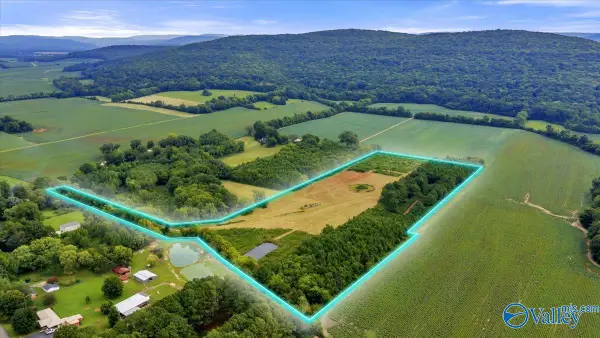 20.3 ACRES Maysville Road, New Market, AL 35761