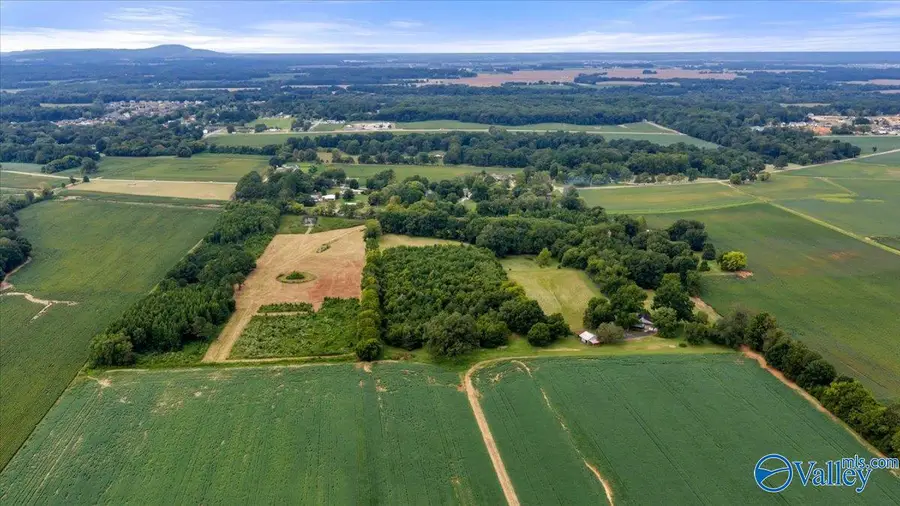 20.3 ACRES Maysville Road, New Market, AL 35761 - #3