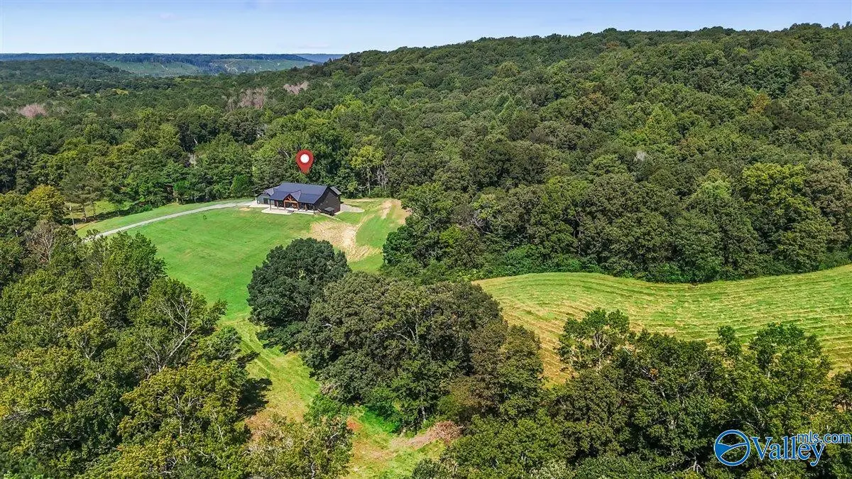 1128 Double S Mountain Road, Baileyton, AL 35019 - #1