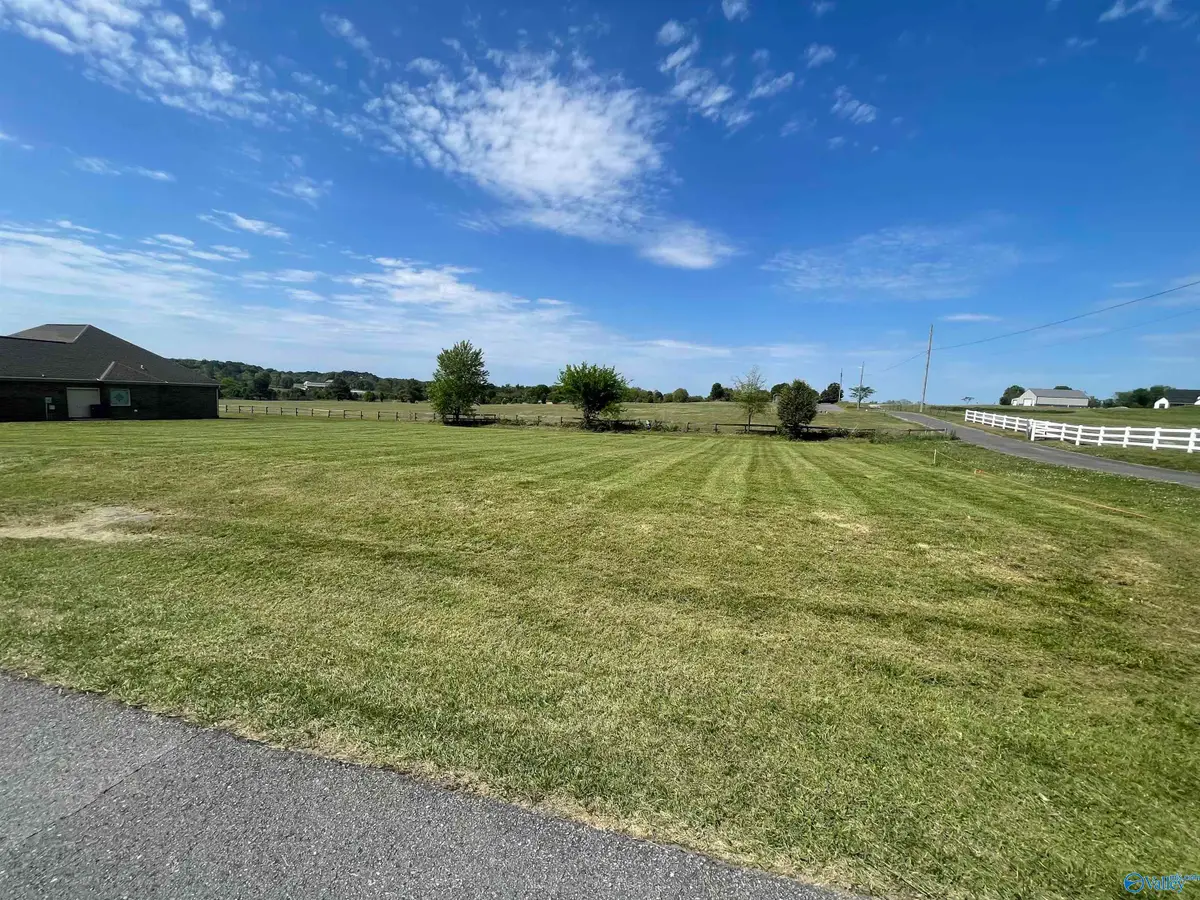 831 Cochran Avenue, Albertville, AL 35951 - #1