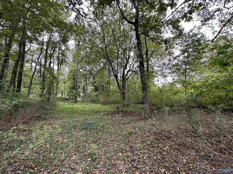 Lot 37 Monte Sano Blvd, Huntsville, AL 35801 - #2