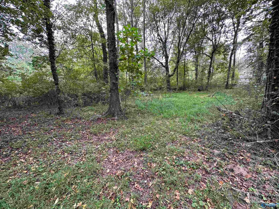Lot 37 Monte Sano Blvd, Huntsville, AL 35801 - #3