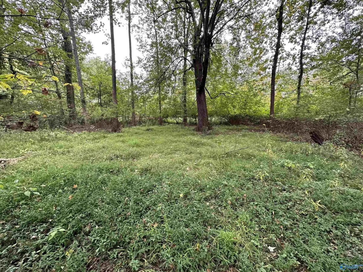 Lot 2 Monte Sano Blvd, Huntsville, AL 35801 - #1