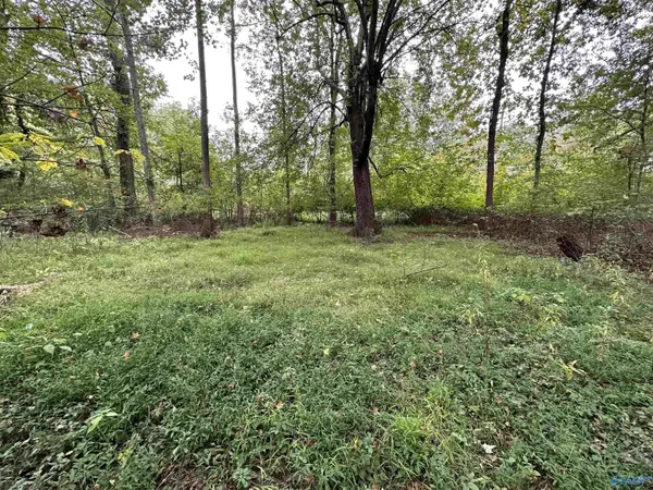 Lot 2 Monte Sano Blvd, Huntsville, AL 35801