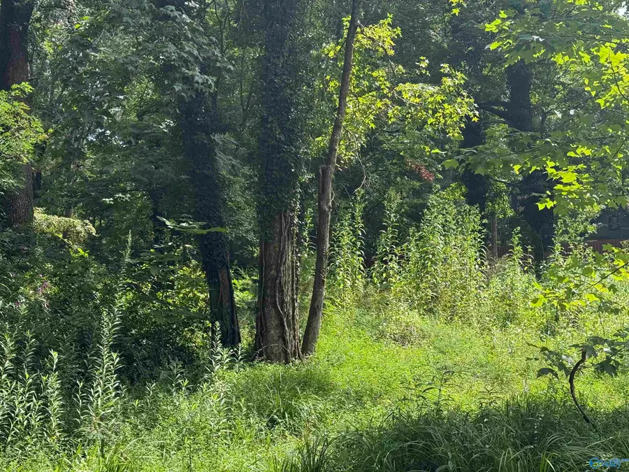 Lot 2 Monte Sano Blvd, Huntsville, AL 35801 - #2