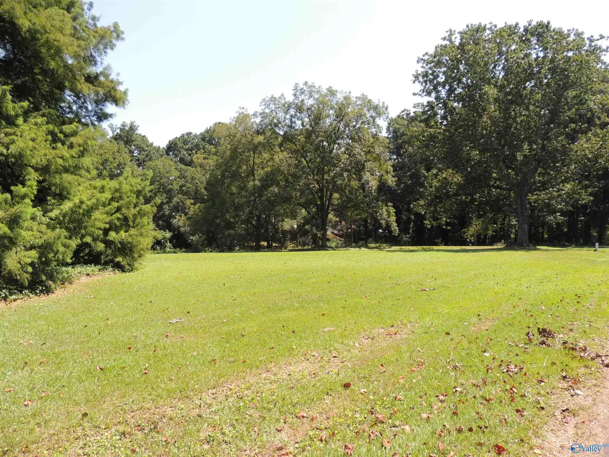 1.99 Justice Street, Crossville, AL 35962 - #1