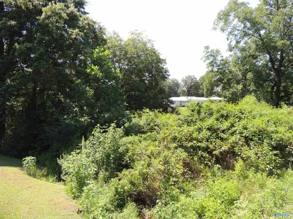 .51 Gaines Street, Crossville, AL 35962