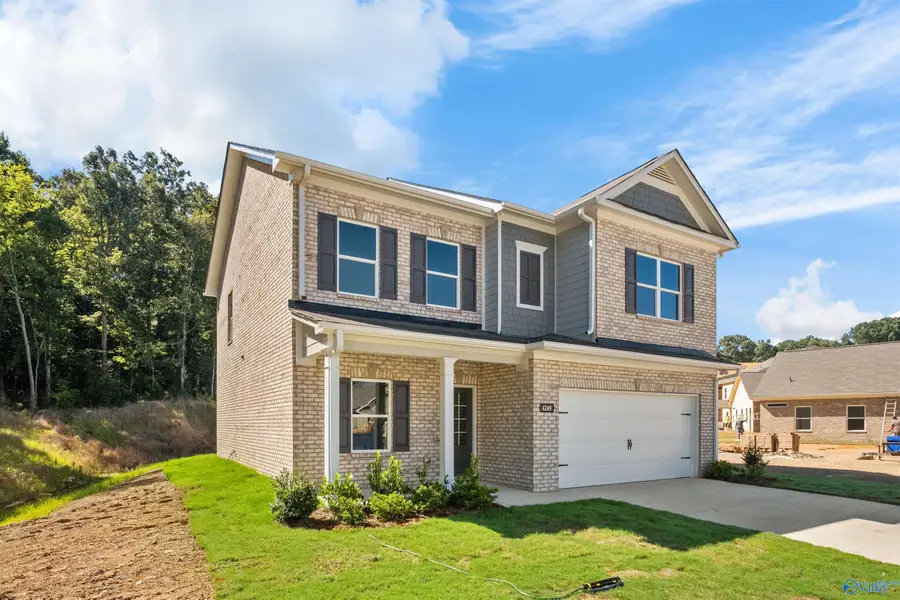 19885 Wicklow Circle, Athens, AL 35611 - #3