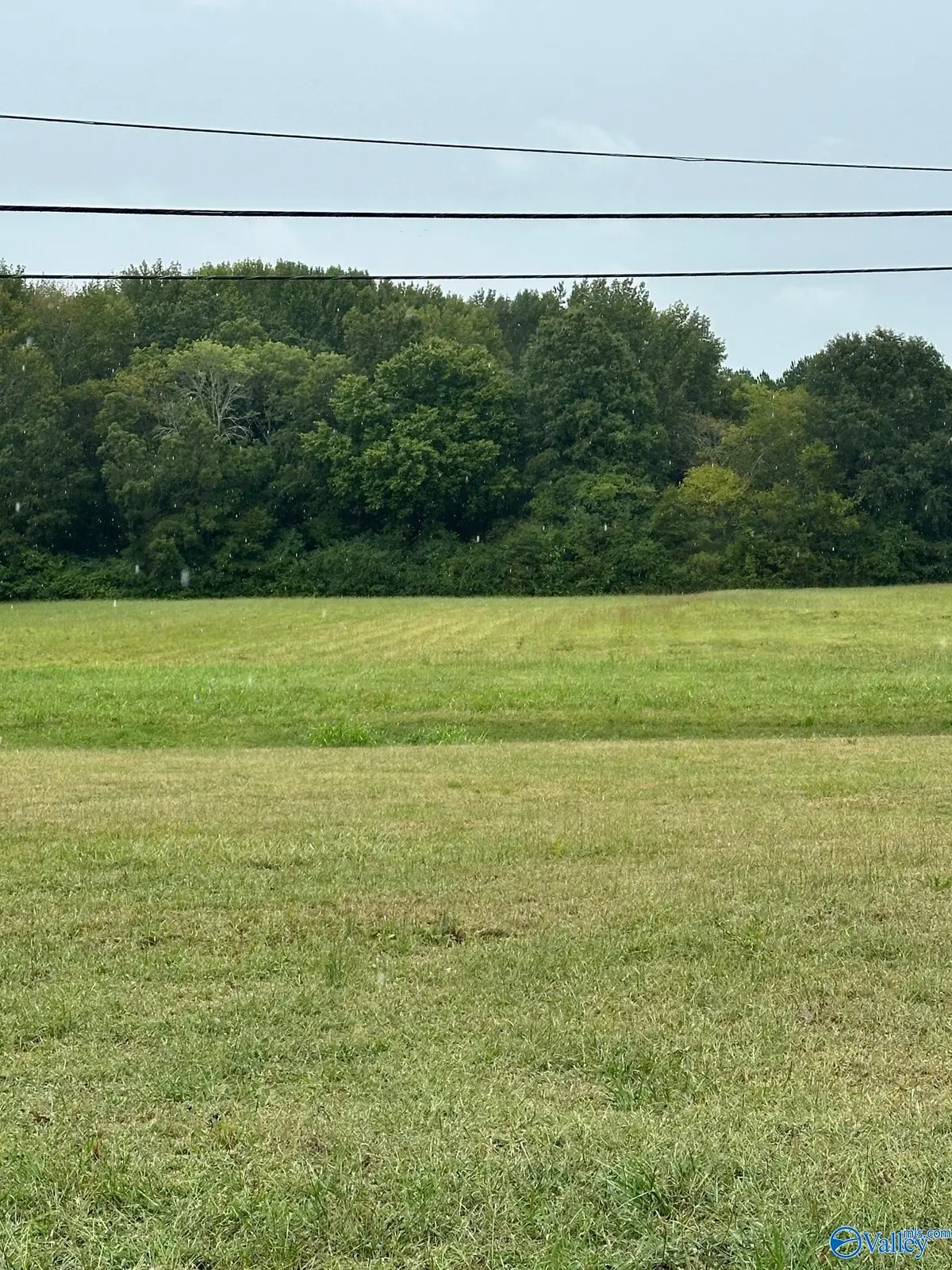 1507 Nella Drive, Athens, AL 35611 - #1