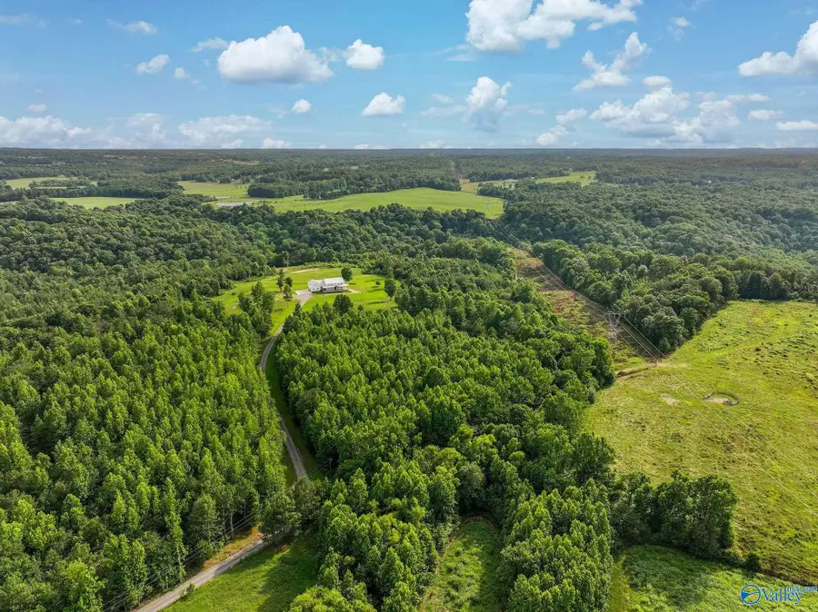 387 Emory Drive, Arab, AL 35016 - #2