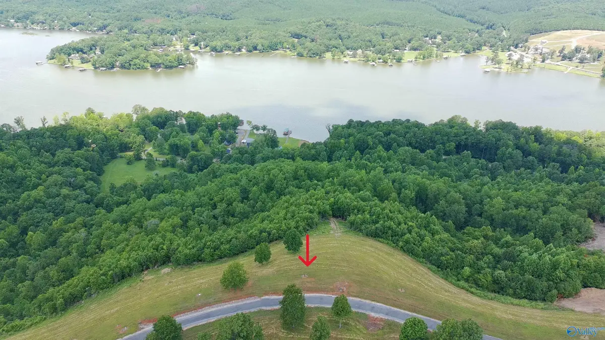 209 County Road 1022, Cedar Bluff, AL 35959 - #1