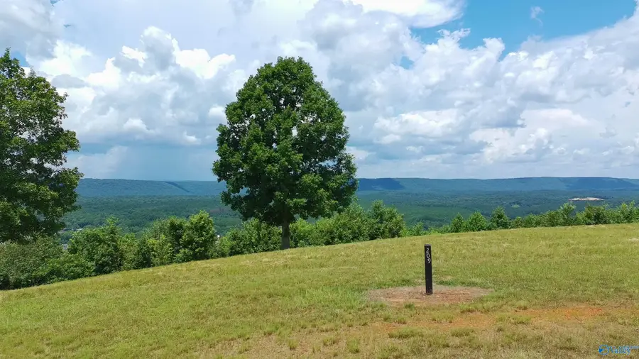 209 County Road 1022, Cedar Bluff, AL 35959 - #2