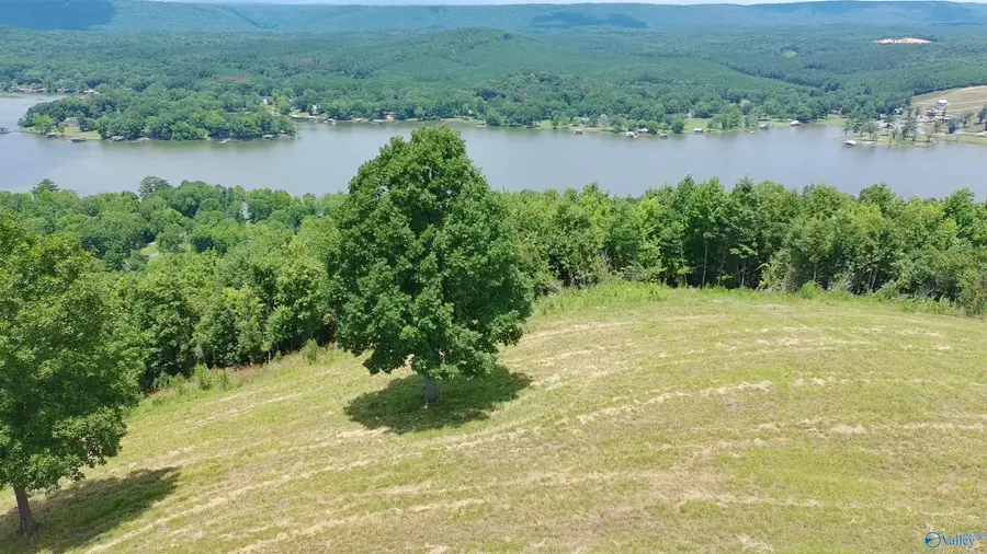 209 County Road 1022, Cedar Bluff, AL 35959 - #3