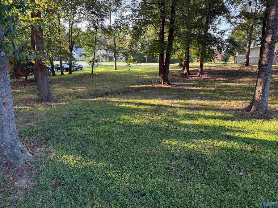 .71 Acre Jeremy Place, Arab, AL 35016 - #3