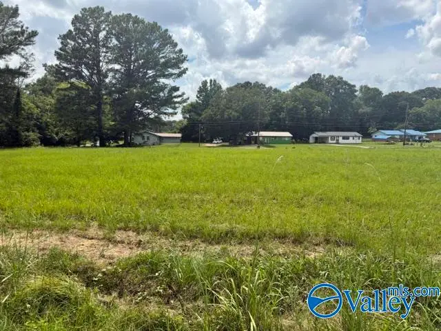 1.13 ACRES 9th Avenue Ne, Gordo, AL 35466 - #2
