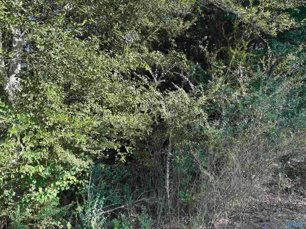 8 ACRES County Road 1196, Cullman, AL 35057