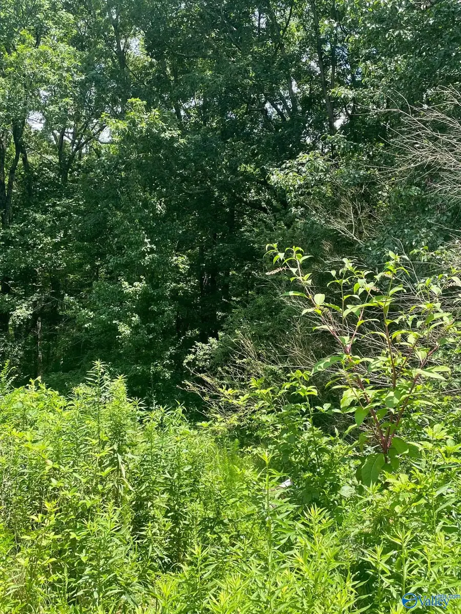 8 ACRES County Road 1196, Cullman, AL 35057 - #3