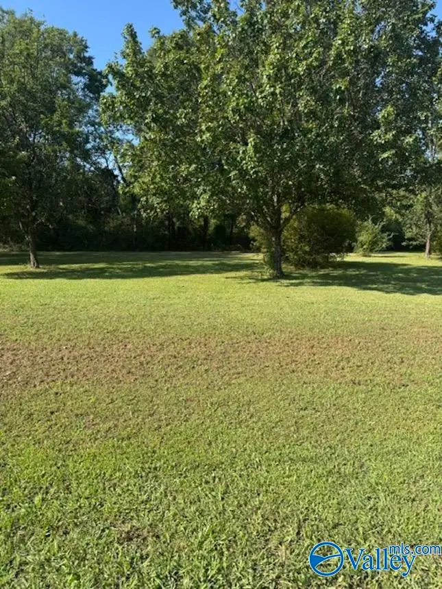 .42 Acre Guthery Avenue, Owens Cross Roads, AL 35763 - #2