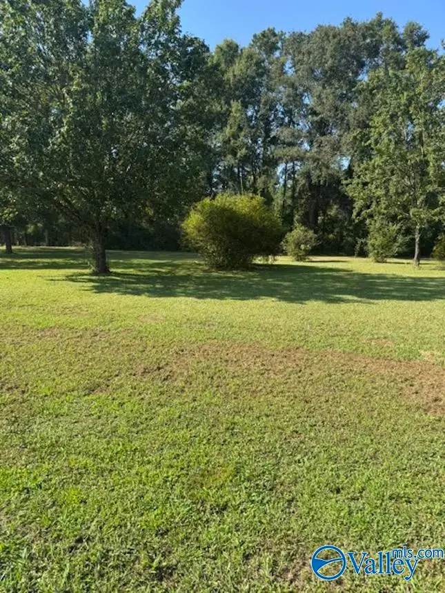.42 Acre Guthery Avenue, Owens Cross Roads, AL 35763 - #3