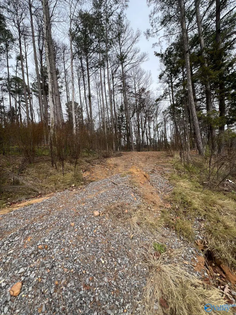 5627 Alabama Highway 227, Guntersville, AL 35976 - #2
