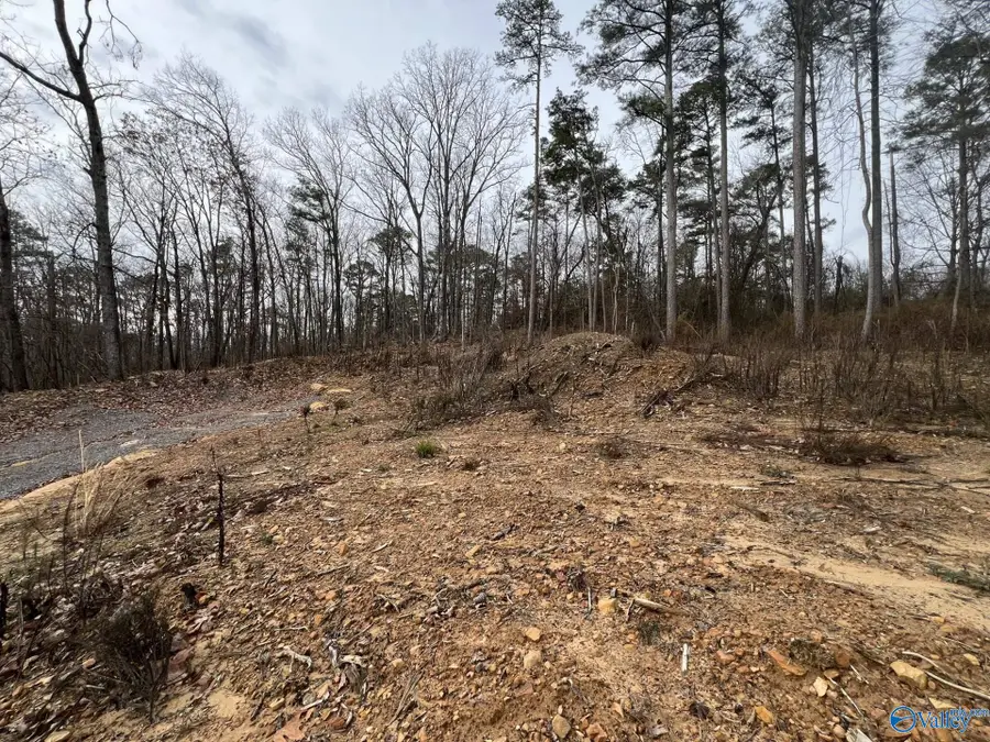 5627 Alabama Highway 227, Guntersville, AL 35976 - #3