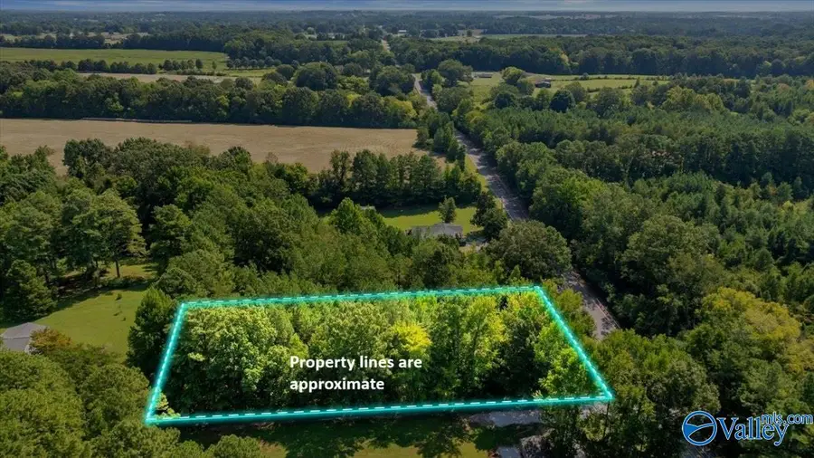 7609 Snake Road, Athens, AL 35611 - #3