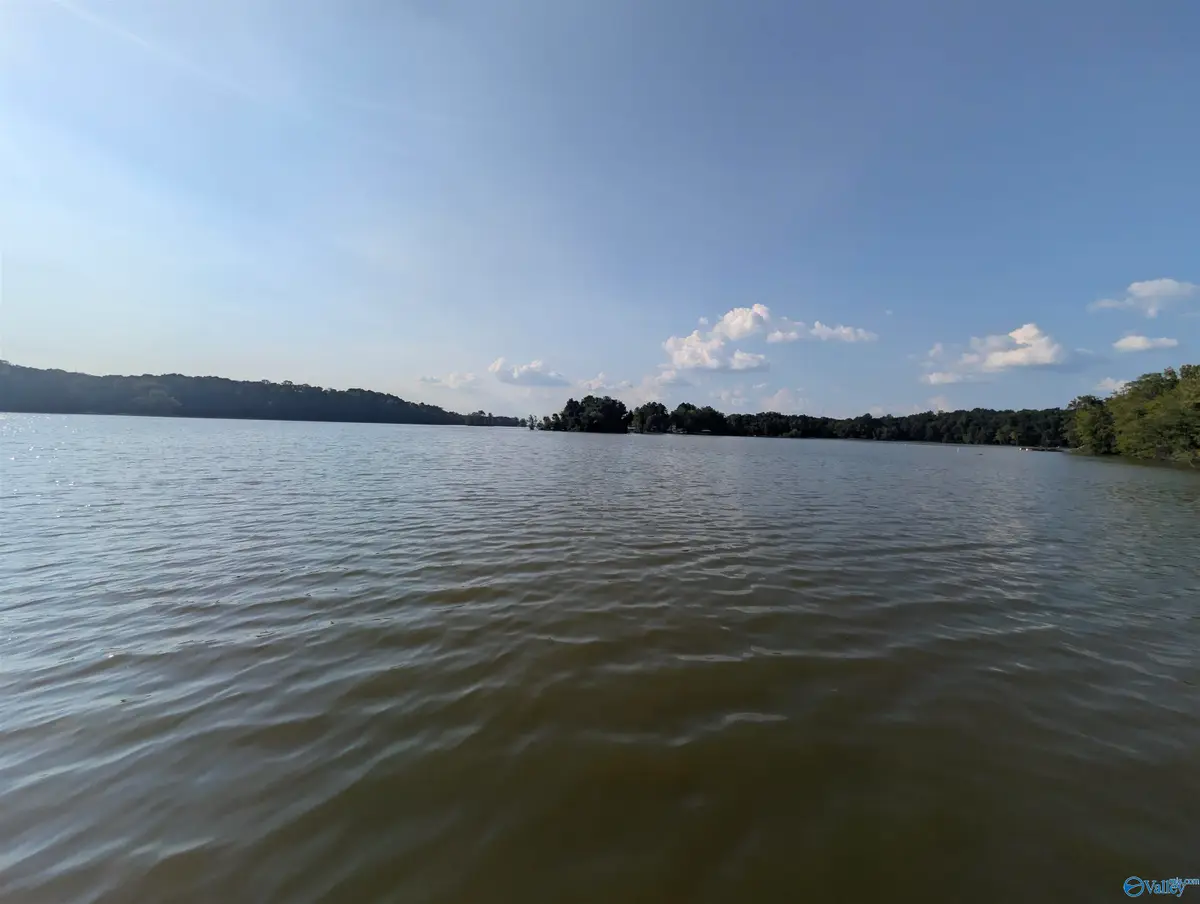Lot 21,22,23 County Road 1029, Centre, AL 35960 - #1