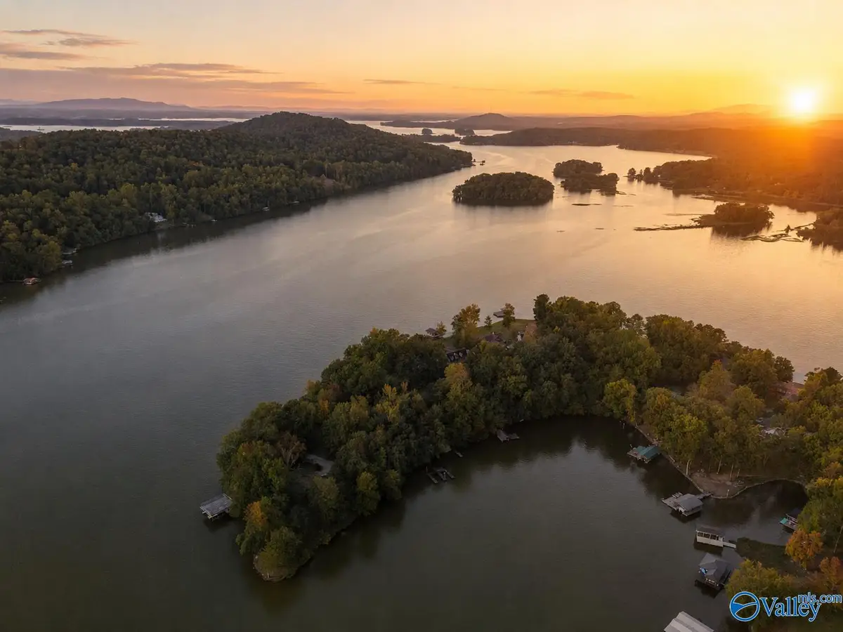 Lot 10 County Road 479, Cedar Bluff, AL 35959 - #1