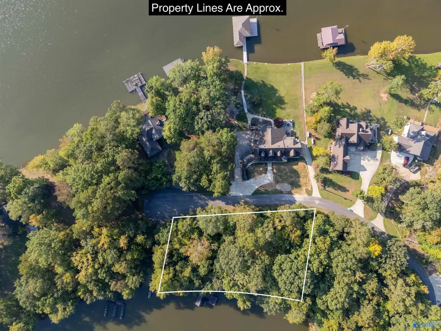 Lot 10 County Road 479, Cedar Bluff, AL 35959 - #3