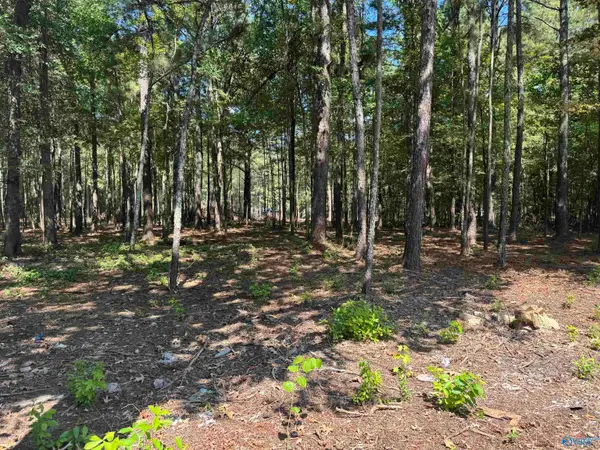 Lot 38 County Road 450 #38, Centre, AL 35960