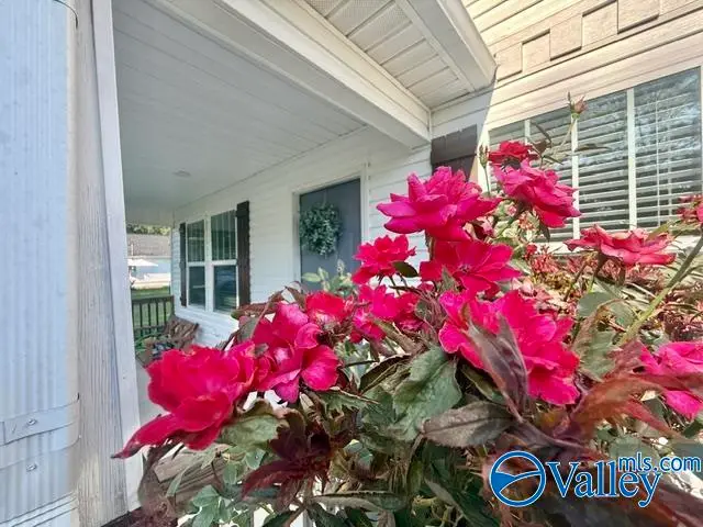 44 County Road 1400, Cullman, AL 35058 - #3
