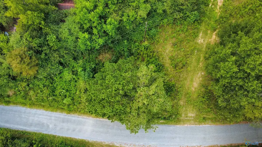 3124 County Road 6, Collinsville, AL 35961 - #3